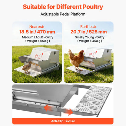 Automatic Chicken Feeder 20L