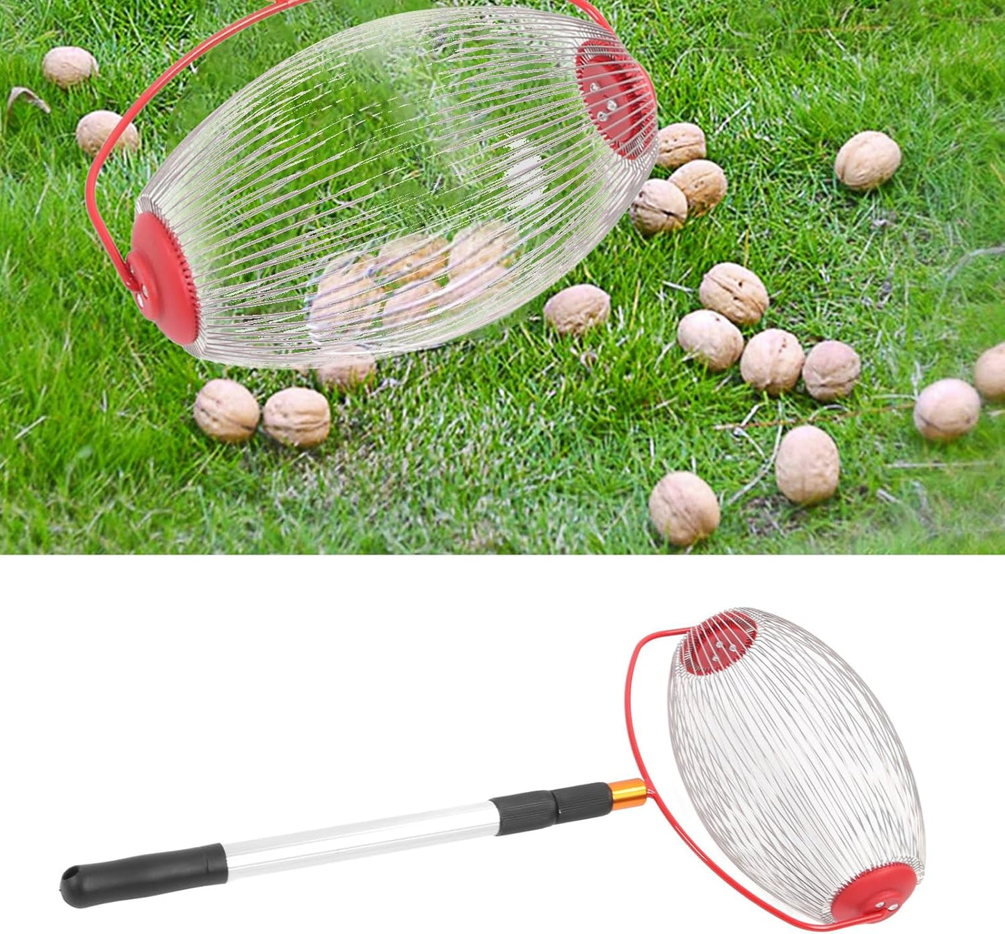 Nut Harvester Collector Fruit Ball Picker