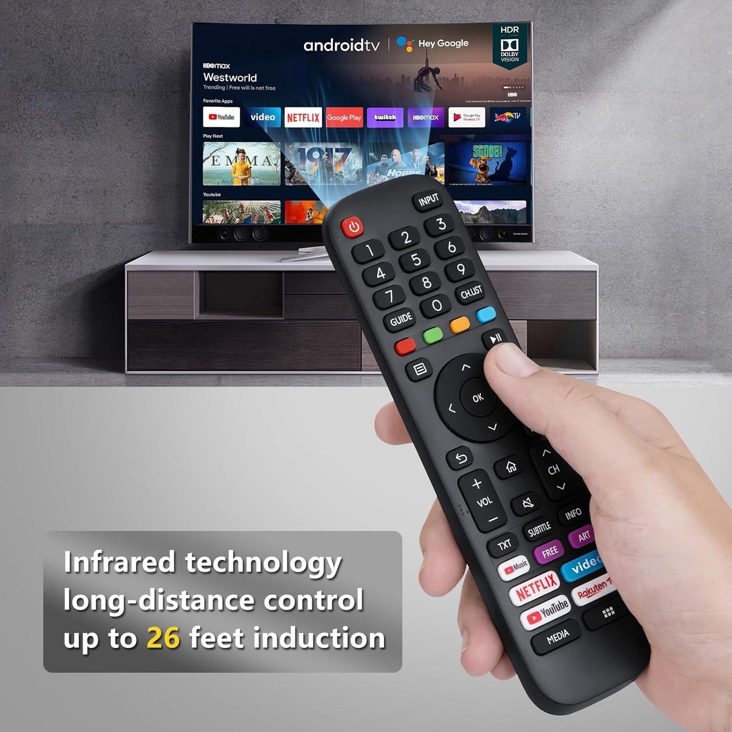 EN-2G30H Replacement Remote Control fit for Hisense TV
