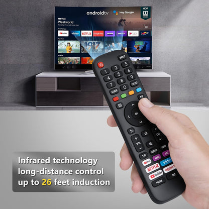 EN-2G30H Replacement Remote Control fit for Hisense TV