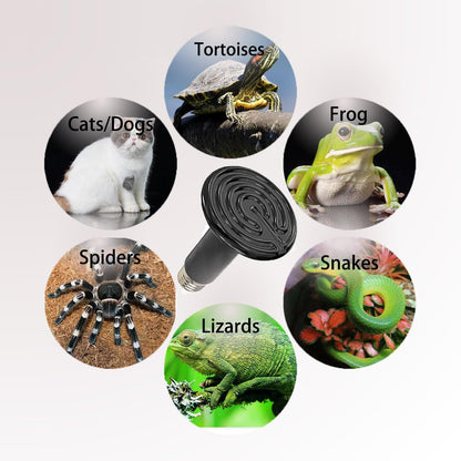 Reptile Light Ceramic Heat Lamp 50W