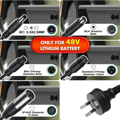 54.6V 2A Ebike Charger for 48V Lithium Battery