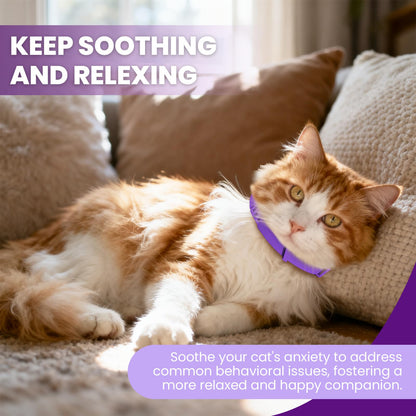 Cat Calming Collar – 4-Pack Adjustable Waterproof Pheromone Cat Calming Collar