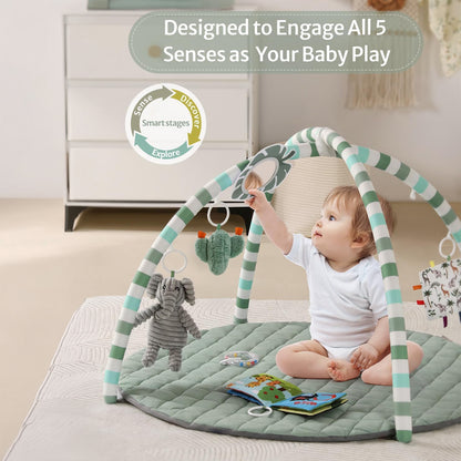 Baby Play Gym