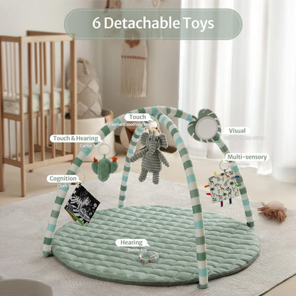 Baby Play Gym