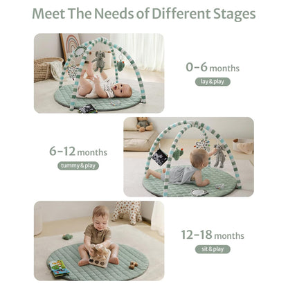 Baby Play Gym