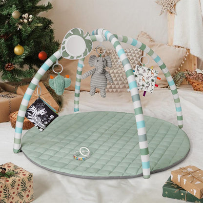 Baby Play Gym