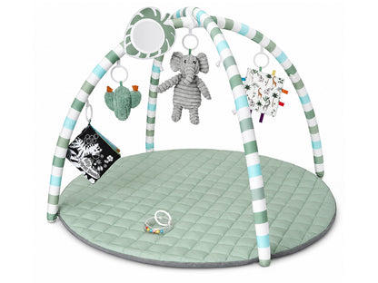 Baby Play Gym