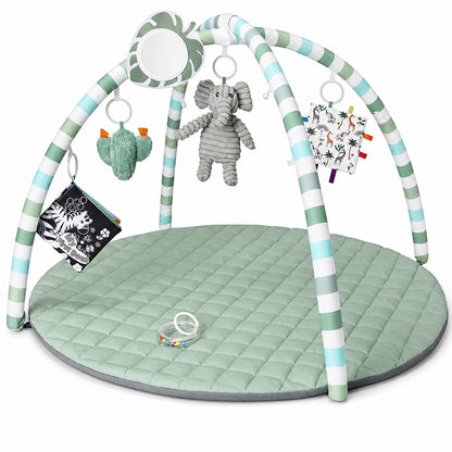Baby Play Gym