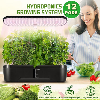 Hydroponics Indoor Growing System