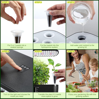Hydroponics Indoor Growing System