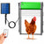 Solar Powered Automatic Chicken Coop Door