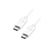 USB C to USB C cable showing full 2 metre length