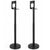 Satellite Speaker Stand