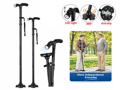 Walking Stick