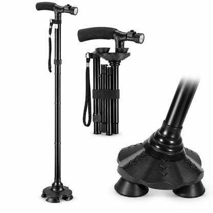 Walking Stick