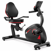 Recumbent Bike