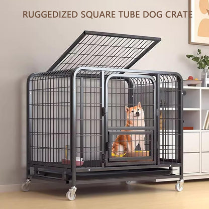 Dog Crate  Dog Crate