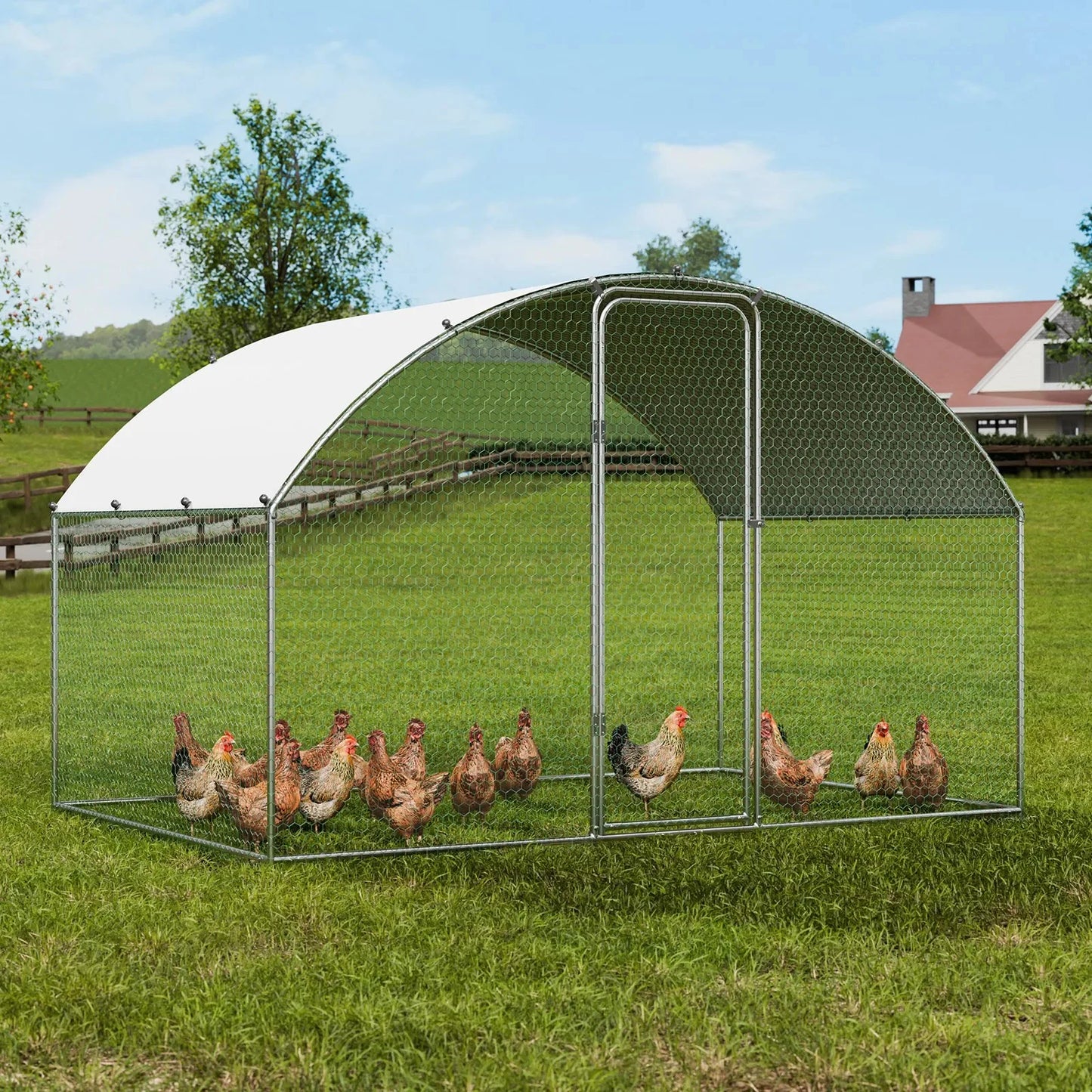 Outdoor chicken coop corner detail with PVC-coated hexagonal mesh