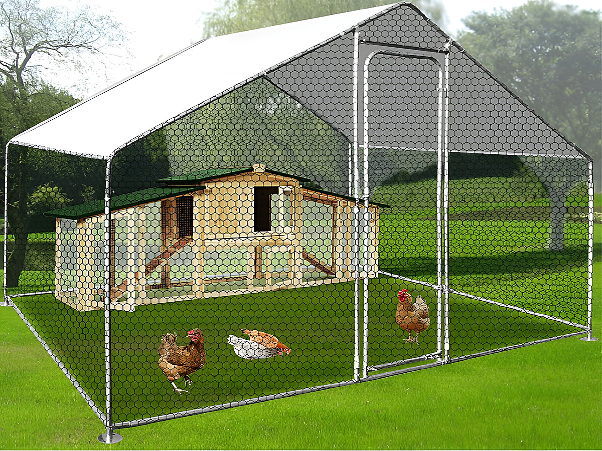 Outdoor Chicken coop 3x2x2m