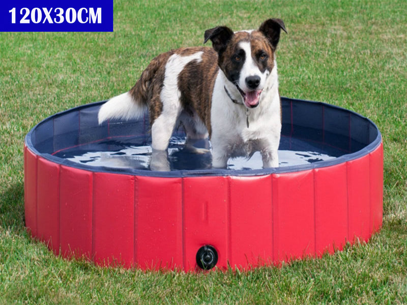 Dog Pet Swimming Pool