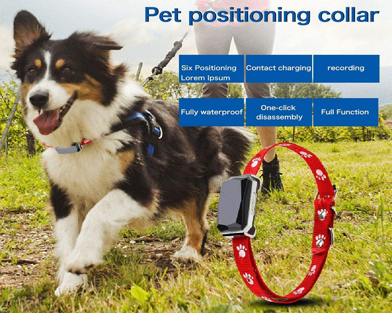 GPS GSM GPRS Tracker Locator Pets Cats Dogs