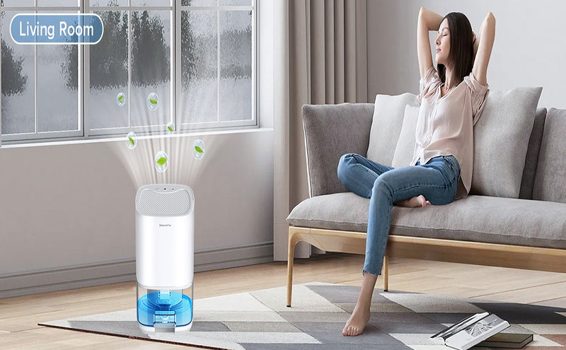 Dehumidifier