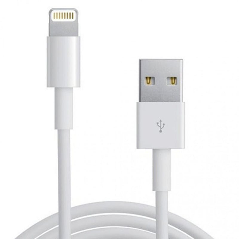 Replacement iPhone Charger