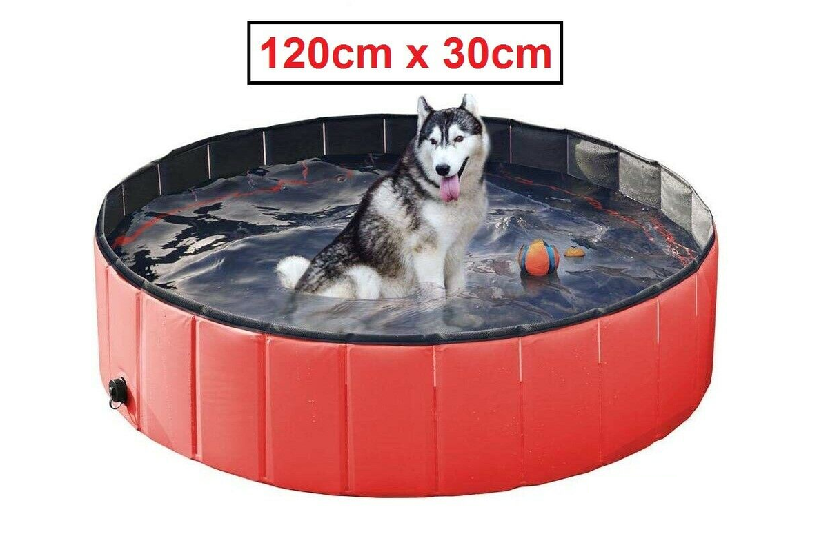 Dog Pet Swimming Pool