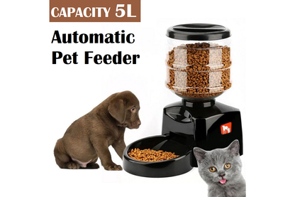 Close up of LCD controller panel on automatic pet feeder