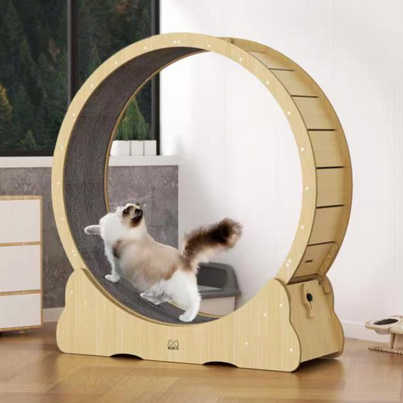 Cat Exercise Wheel