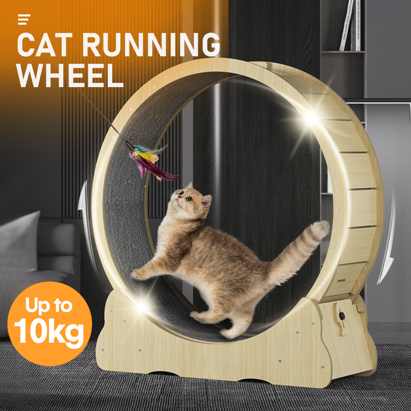 Cat Exercise Wheel