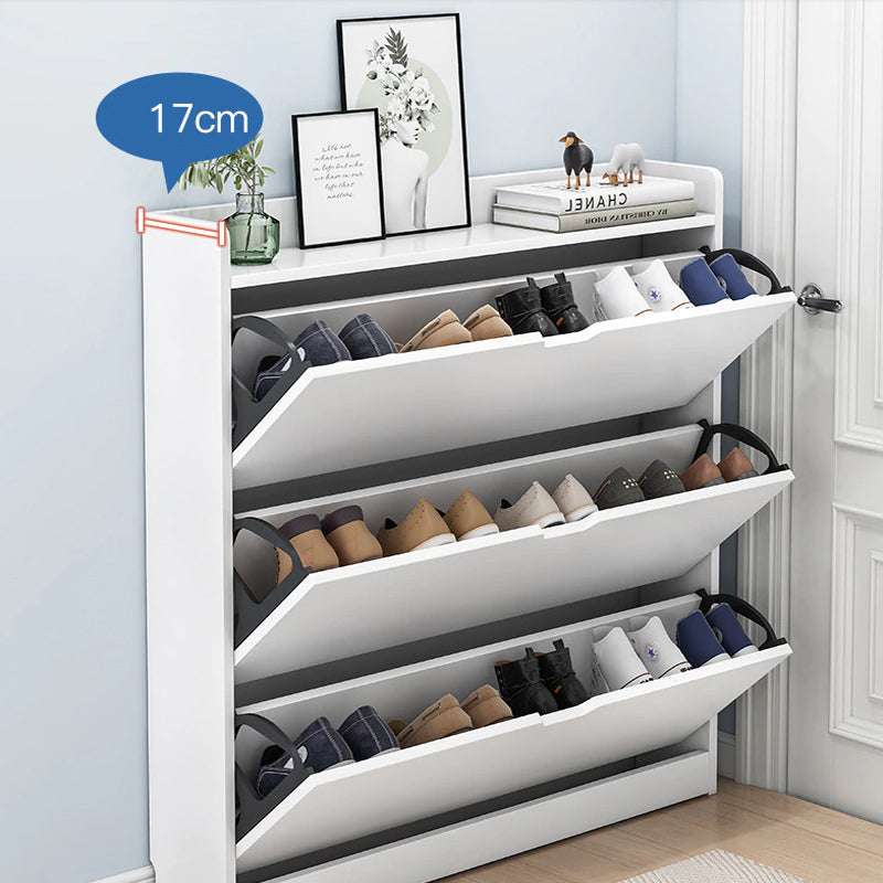 Shoe Cabinet