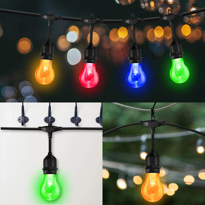 Festoon Lights