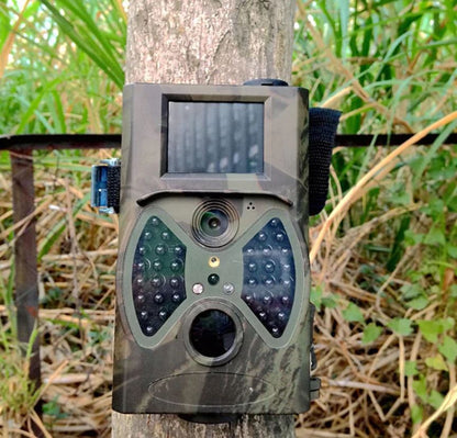 Hunting camera capturing wildlife in New Zealand bush