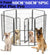 Dog Play pen