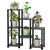 Flower Stand Plant Pot Rack