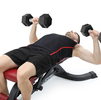 Dumbbell set 2x 10kg hex weights showing hexagonal shape