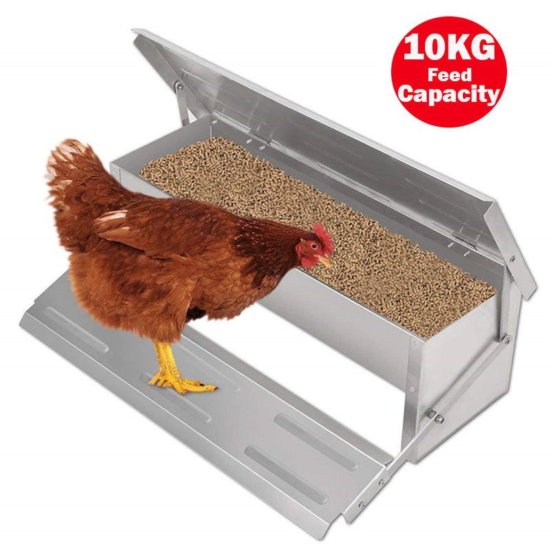 Chicken Feeder