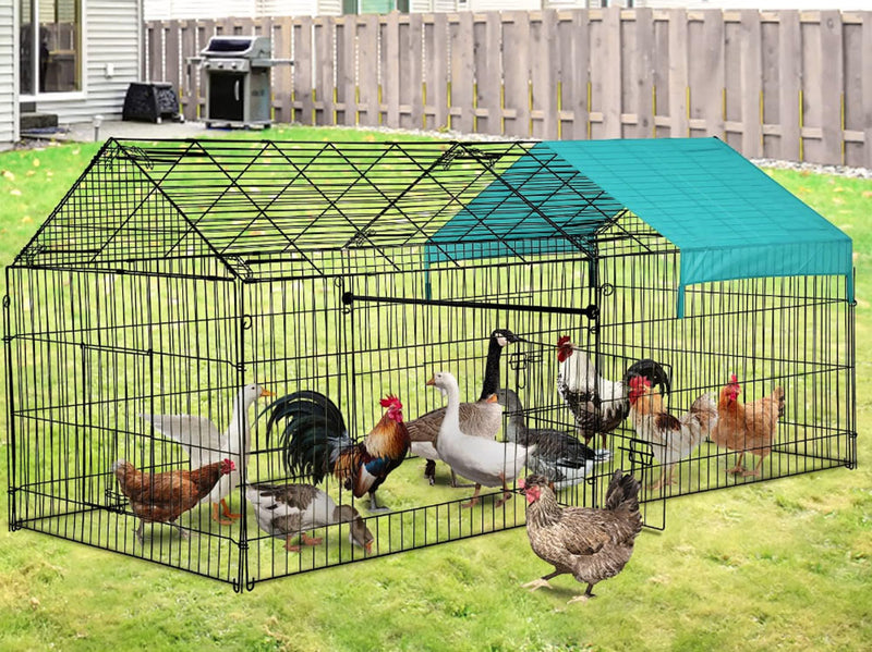 Outdoor Chicken Coop