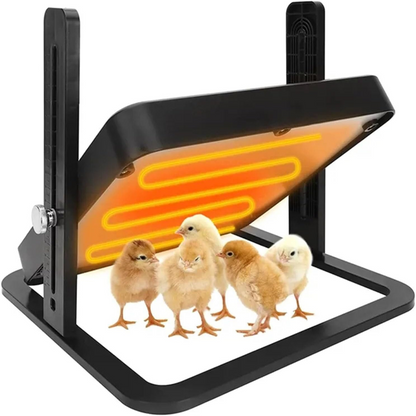 Chicken Heating Plate Brooder