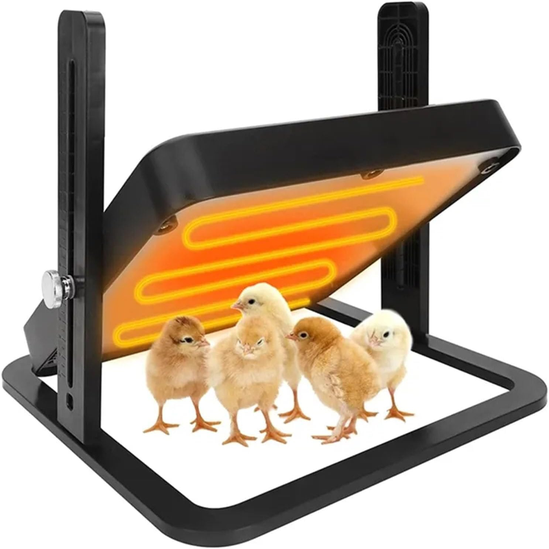 Chicken Heating Plate Brooder