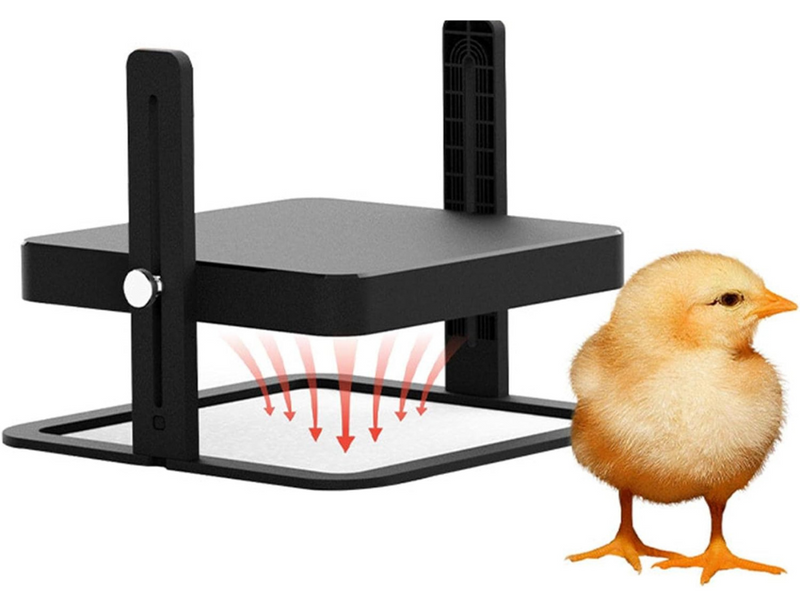 Chicken Heating Plate Brooder