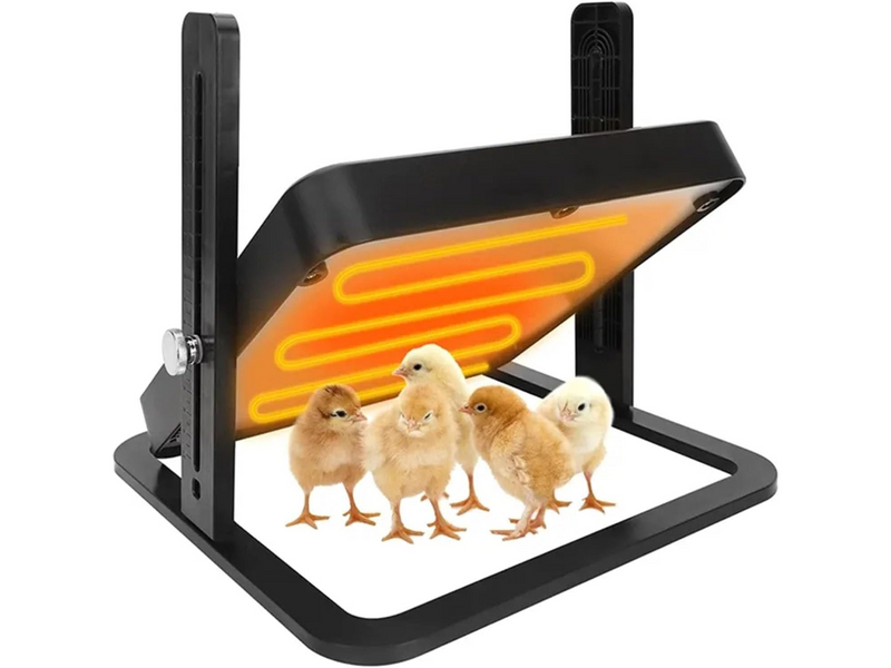 Chicken Heating Plate Brooder