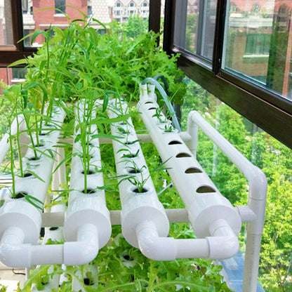 Indoor Hydroponic Garden Growing System