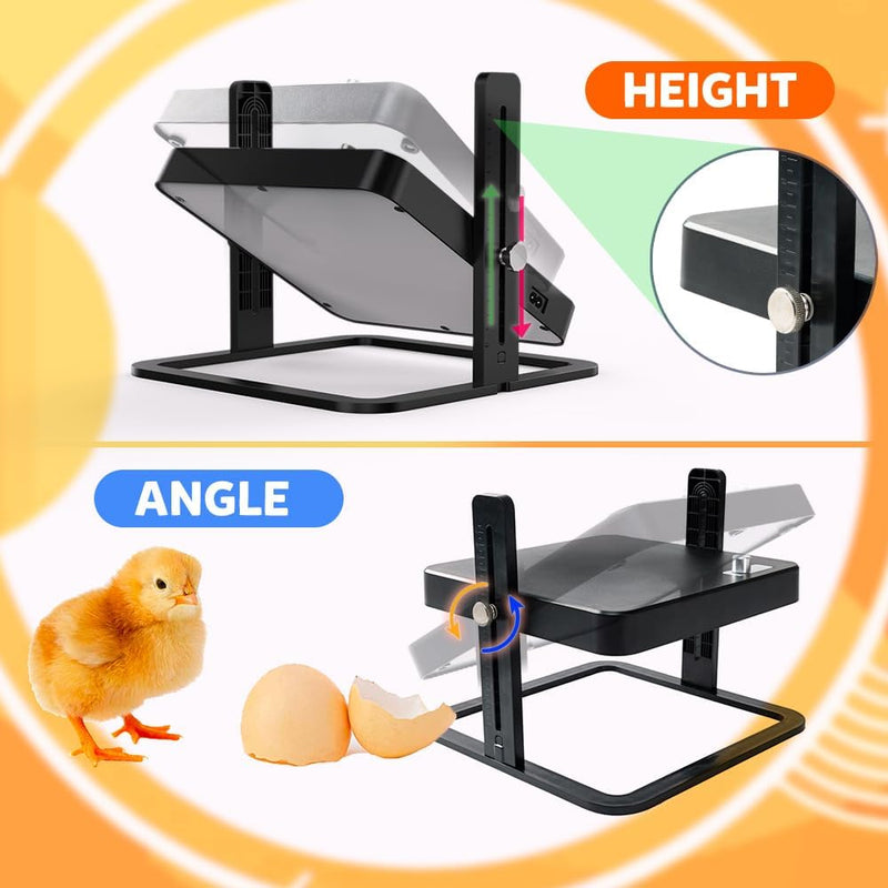 Chicken Heating Plate Brooder