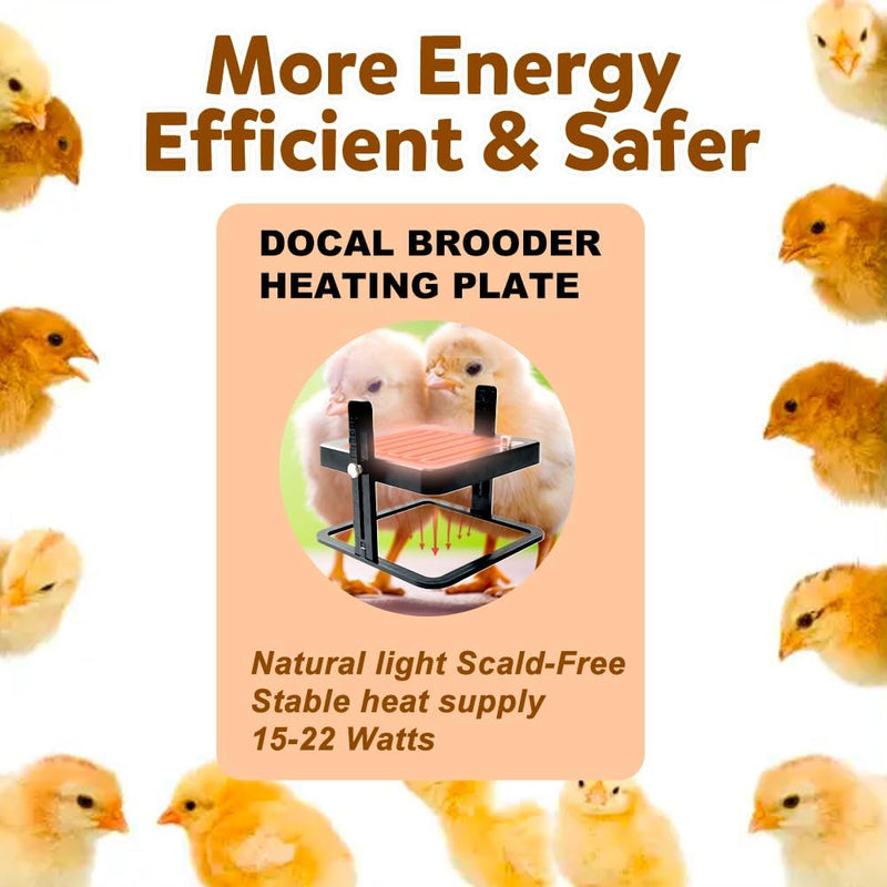 Chicken Heating Plate Brooder