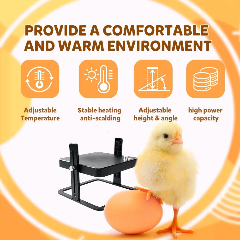 Chicken Heating Plate Brooder