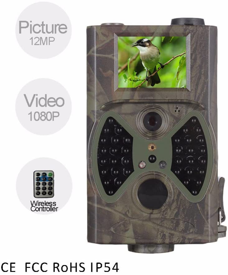 Hunting camera capturing wildlife in New Zealand bush