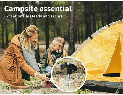 Blue carry case holding 20 camping tent pegs
